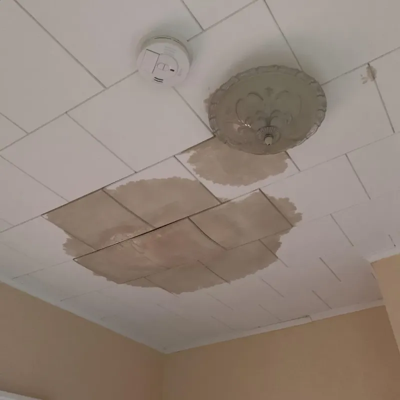 Ceiling Water Damage Repair in Newport County, RI