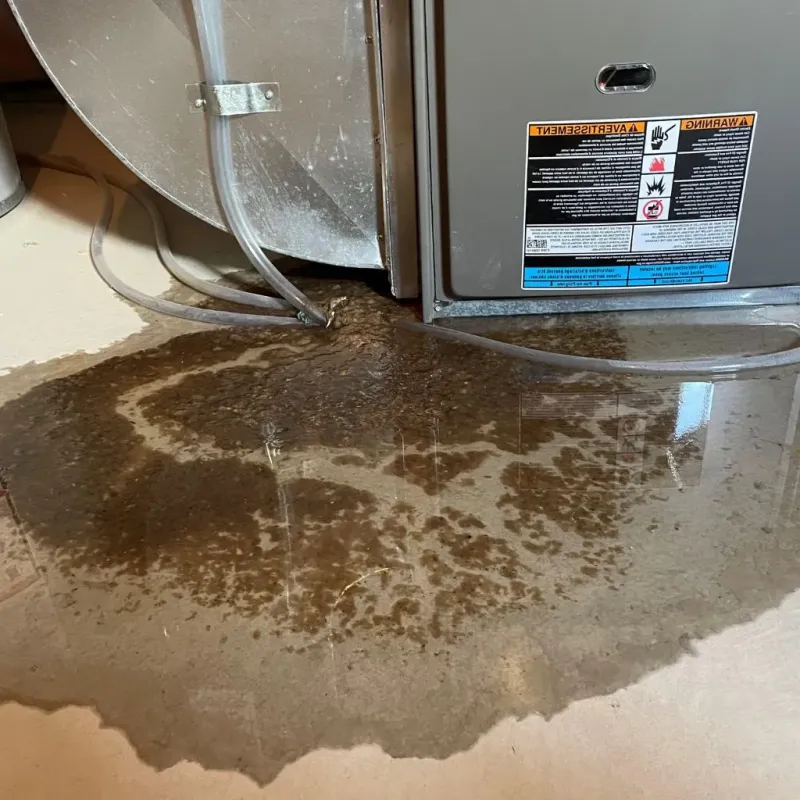 Pipe Burst and Leak Restoration in Newport County, RI