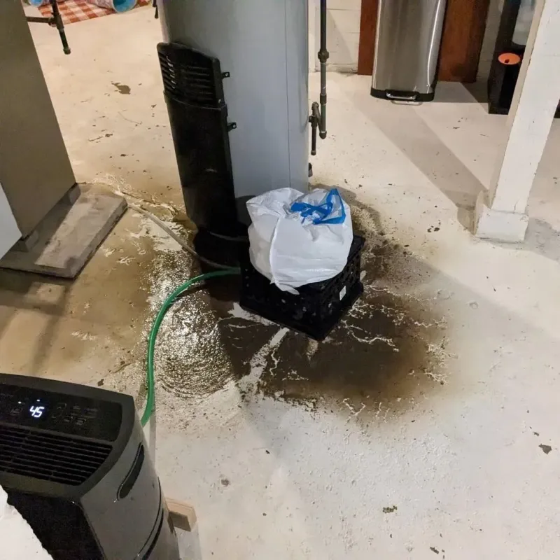 Sewage Backup Cleanup Service in Newport County, RI